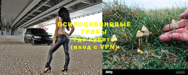 каннабис Сясьстрой